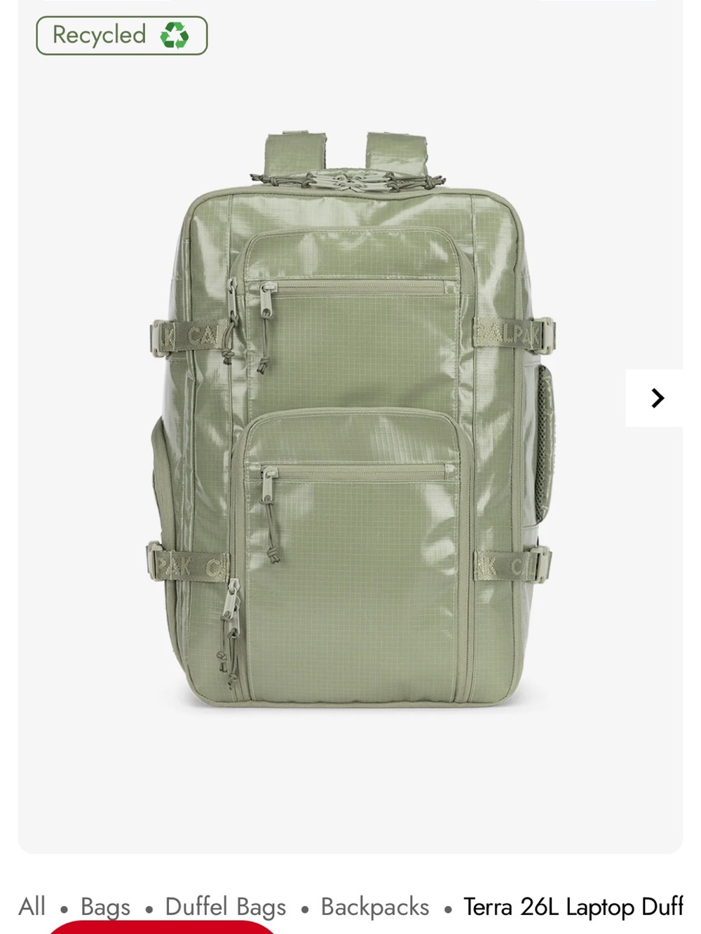 Calpak Terra 26L Backpack in Sage